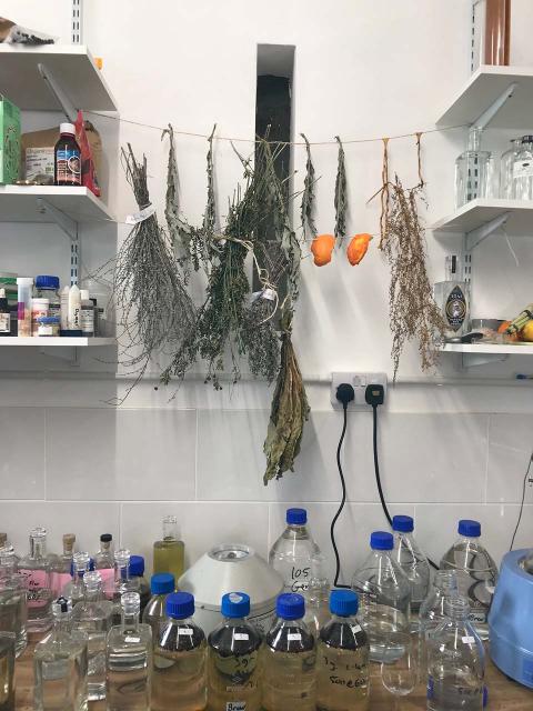 Gin lab A laboratory with the ingredients to make gin