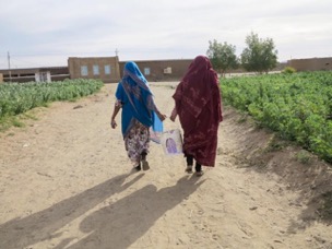 Michelle Rorich, Sudan fava bean The back of two women, walking along a dust road toward buildings