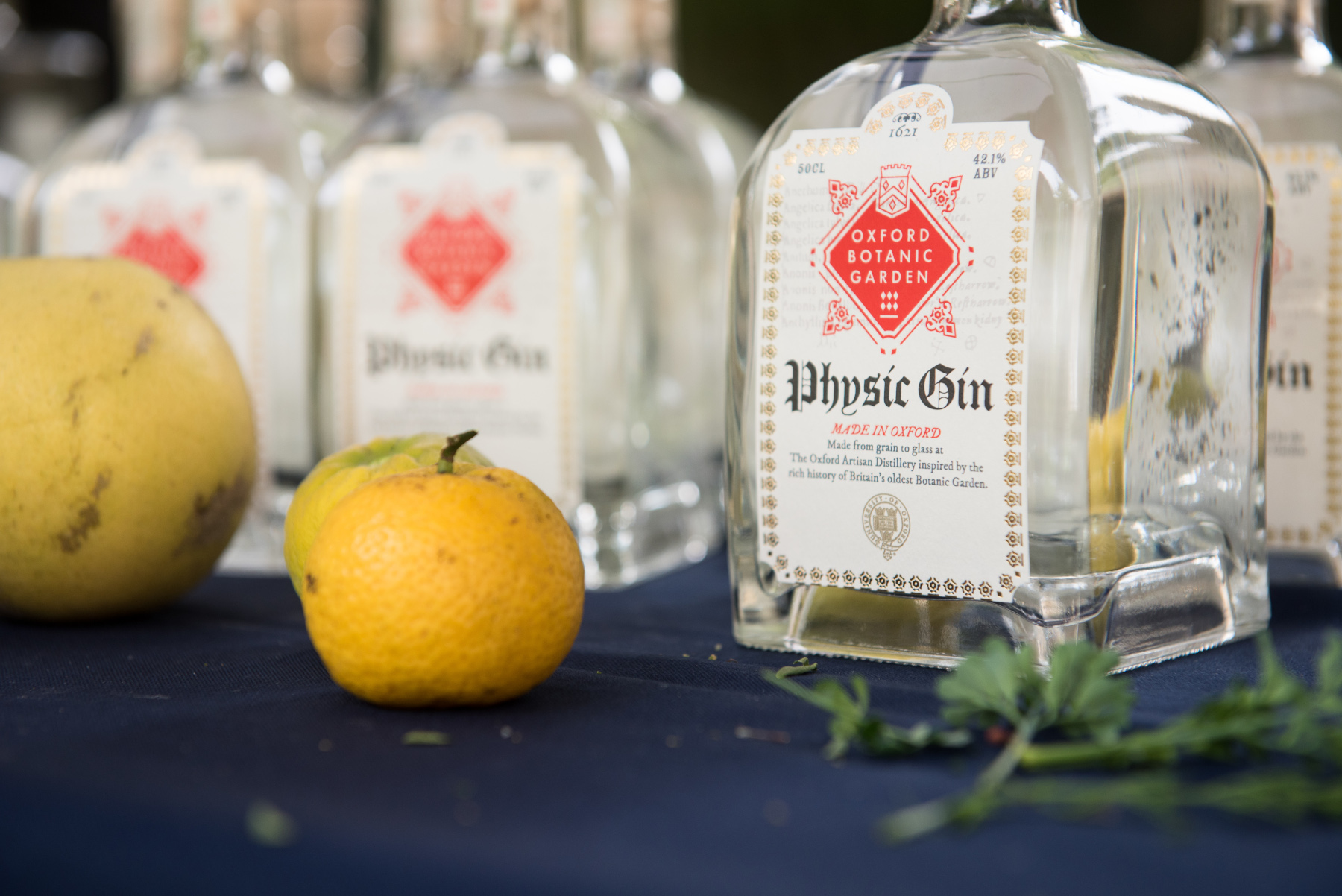 WORLD GIN DAY AT THE ASHMOLEAN Oxford Alumni