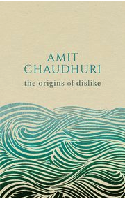 The cover of The Origins of Dislike