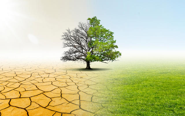 A split photo, the left is half of a leafless tree on parched, cracked earth, the right is the other half of the tree, in full leaf on a green fieldtterstock