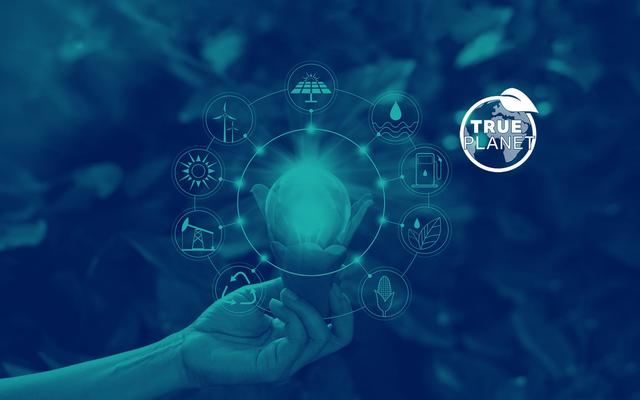 True Planet logo - hand holding lightbulb of ideas