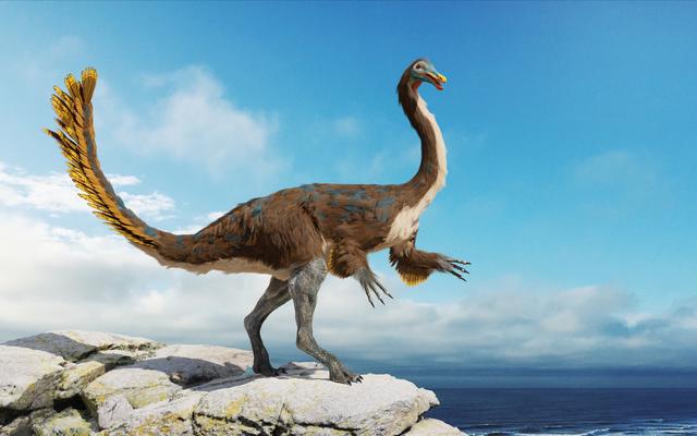 Gallimimus, feathered theropod dinosaur that lived during the Late Cretaceous period (3d science render)