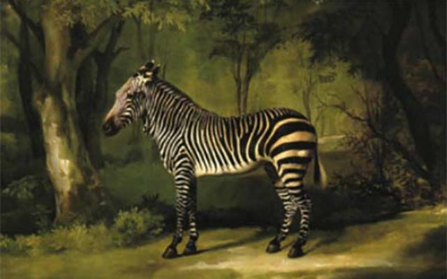 A painting of a zebra in a wood