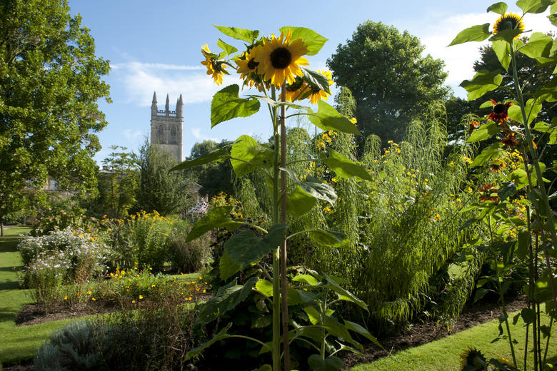 Oxford Botanic Gardens with view of Magdalen College tower, Oxford, UK