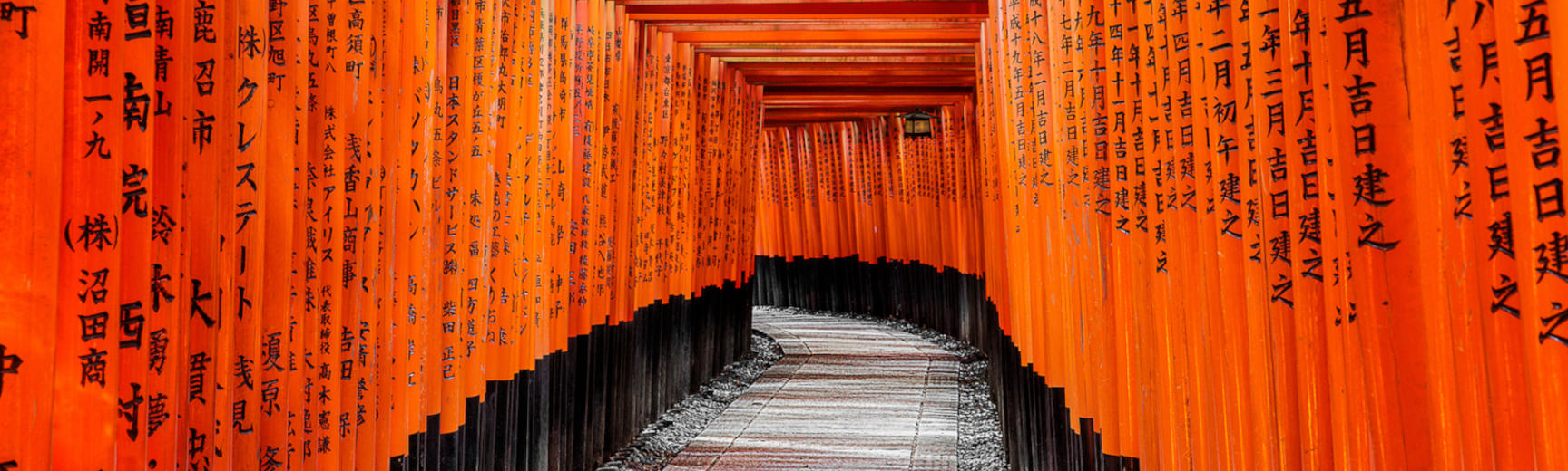 Torii leading to the outer shrine, at the Fushimi Inari-taisha in Kyoto