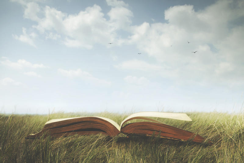 An open book in a field of grass