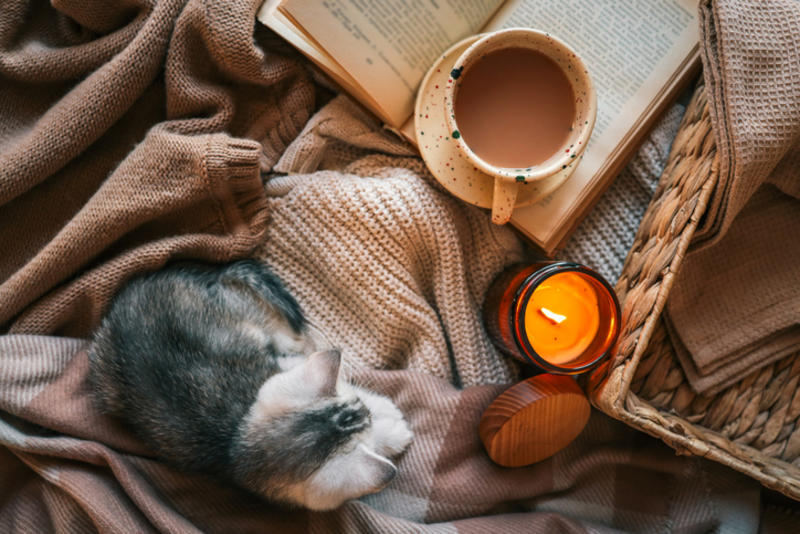 A cat lies next to a candle and an open book