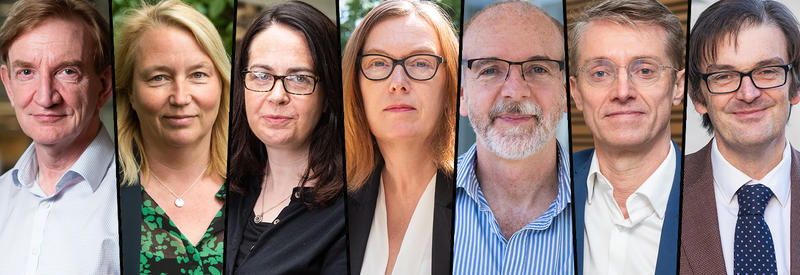Queen's Birthday Honours 2021 recipients. Pictured from left to right: Adrian Hill, Catherine Green, Teresa Lambe, Sarah Gilbert, Andrew Pollard, Peter Horby, Martin Landray