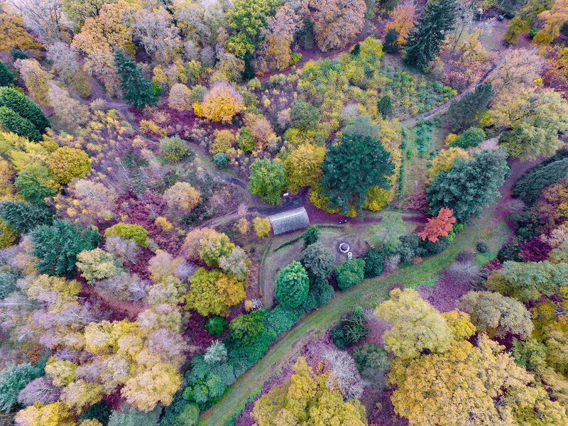 Aerial shot of autumn trees at Oxford University's Arboretum