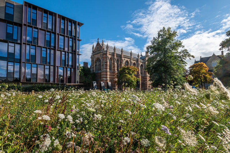 Keble College and the Beecroft Building viewed across a wildflower meadow in University Park