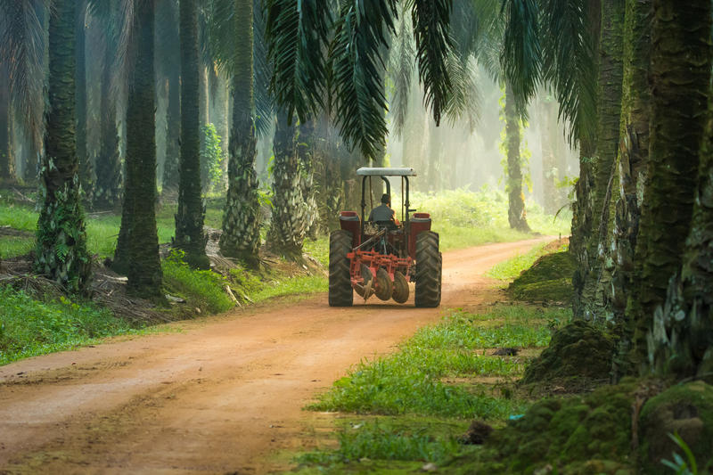 A tractor driving along a dirt road through a rainforest