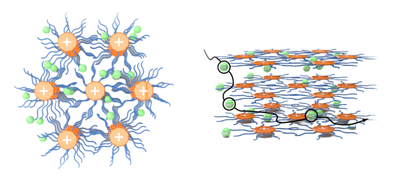 Schematic illustration of the SIE solid-state superstructure and properties. The mobile ions (green) diffuse through a network of columns of the organic counterions (orange).