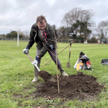 Professor Martin Maiden in the University Parks planting a Hungarian thorn on 27 November 2025