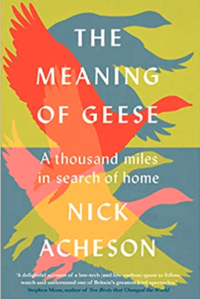 Front cover of The Meaning of Geese by Nick Acheson