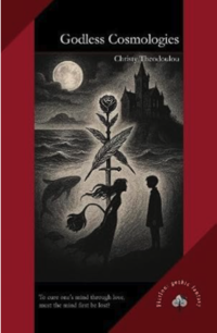 The book cover for 'Godless Cosmologies'