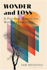 Book cover for 'Wonder and Loss'
